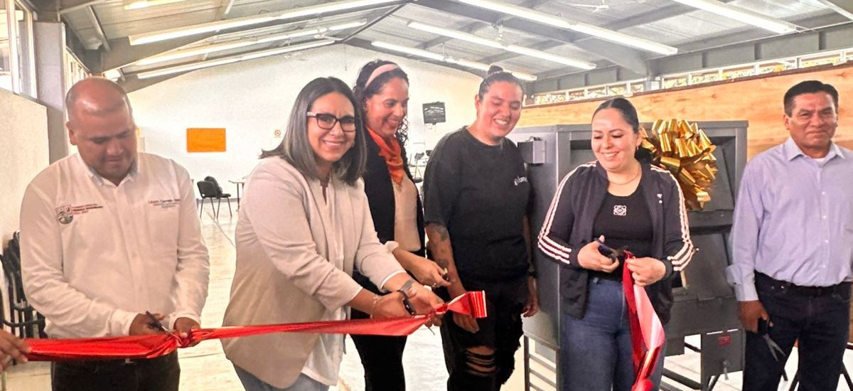 Luciernaga noticias | Síndica Municipal im...