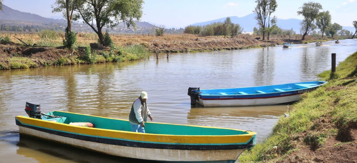 Luciernaga noticias | Hallazgo de tres nue...