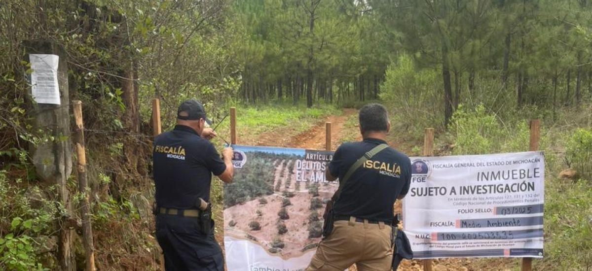 Luciernaga noticias | Cateo de FGE revela...