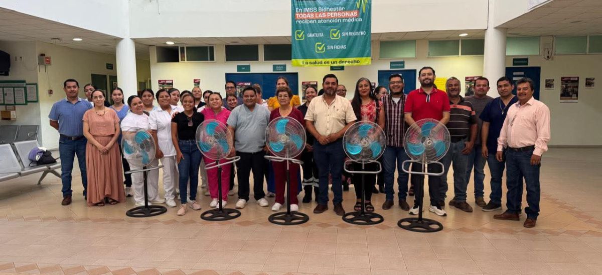 Luciernaga noticias | La ayuda voluntaria...