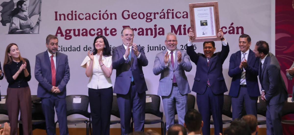 Luciernaga noticias | Aguacate Franja Mich...