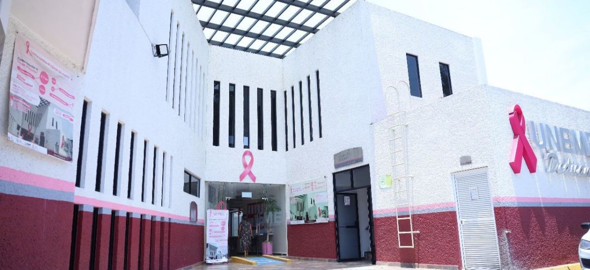 Luciernaga noticias | SSM fortalece la luc...