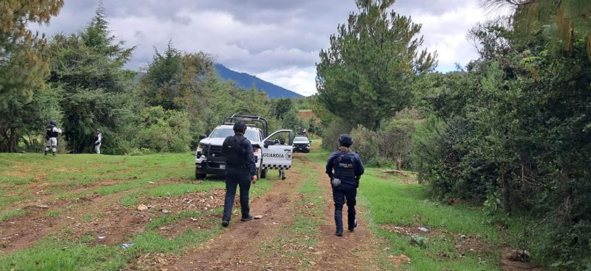Luciernaga noticias | SSP intensifica pres...