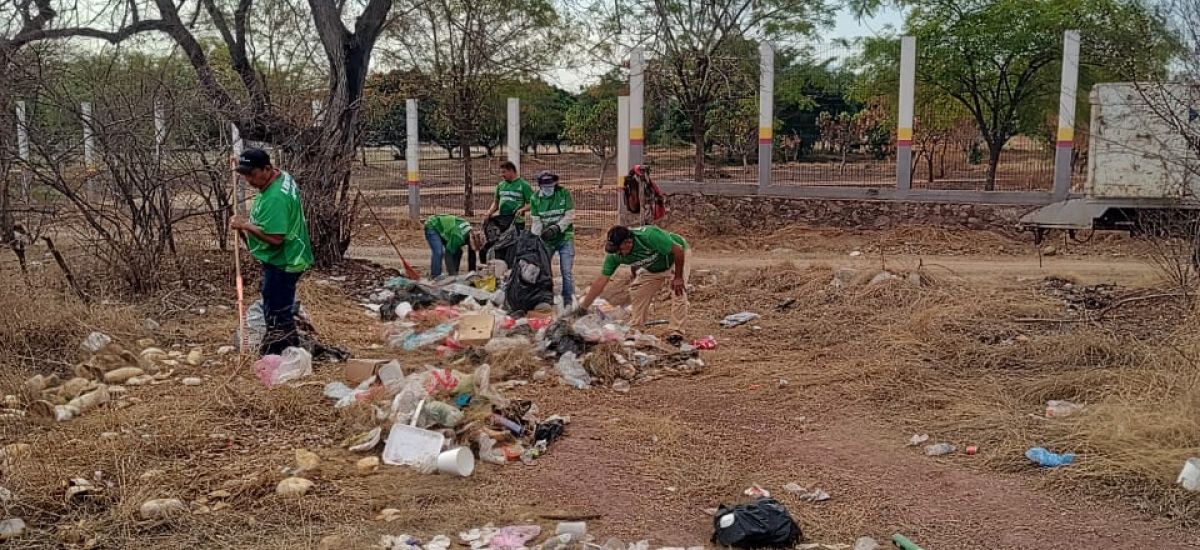 Luciernaga noticias | Realizan jornada de...