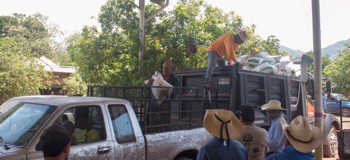 Luciernaga noticias | Familias reciben fer...
