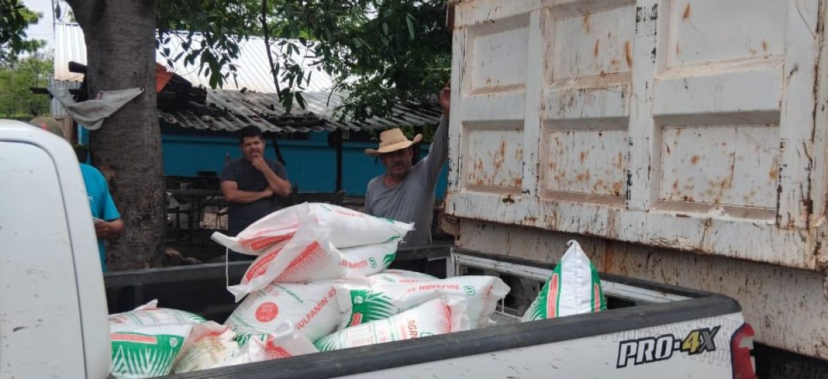Luciernaga noticias | Continúa la entrega...