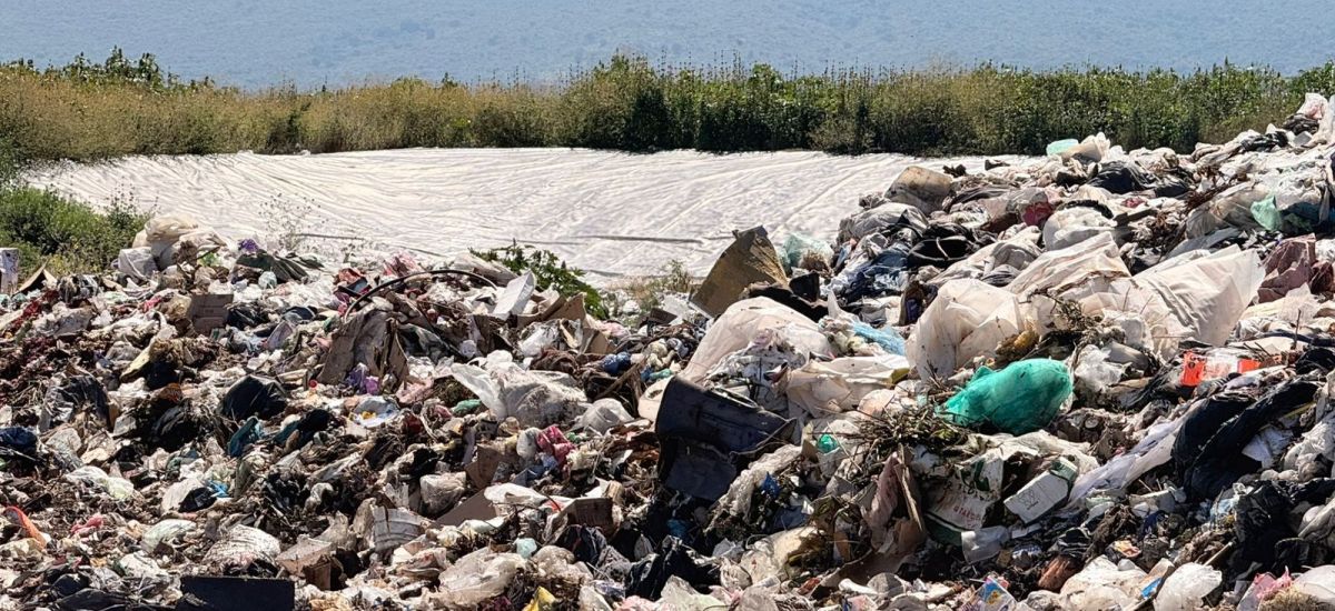 Luciernaga noticias | Proam clausura basur...