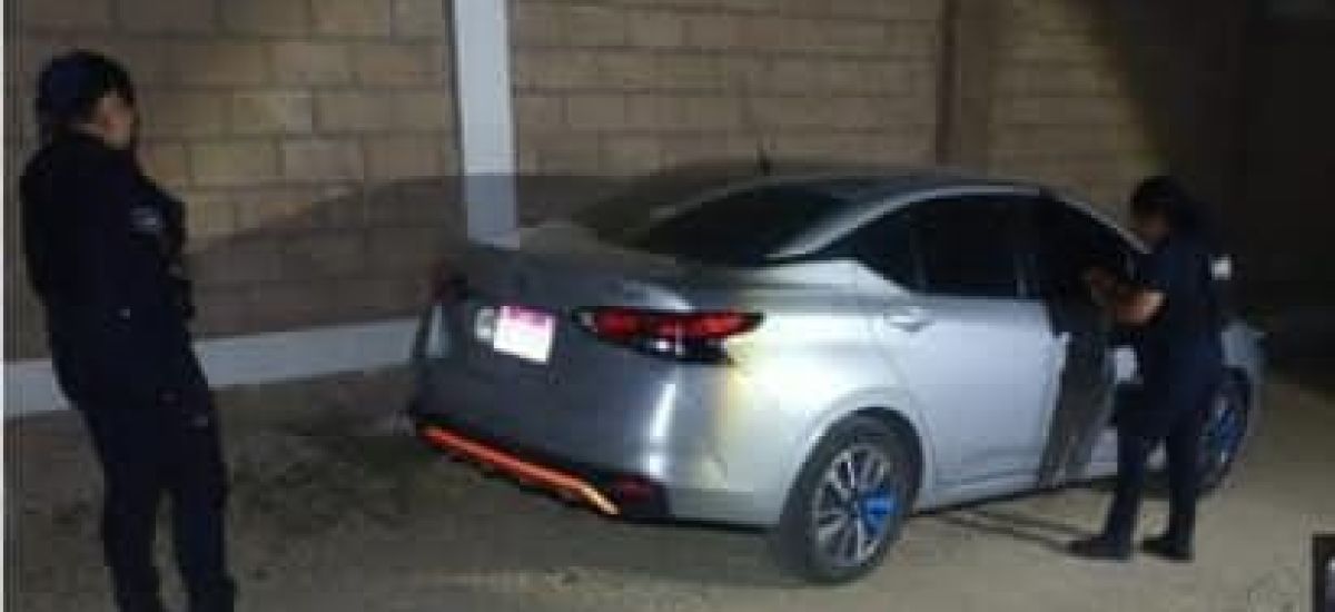 Luciernaga noticias | Guardia Civil recupe...