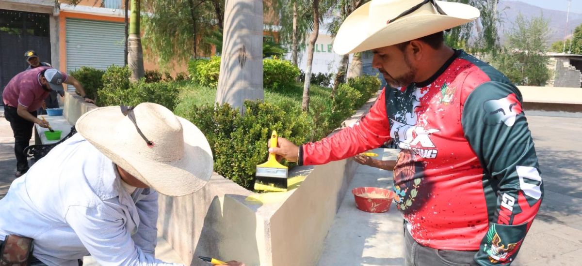 Luciernaga noticias | Embellecen el jardín...