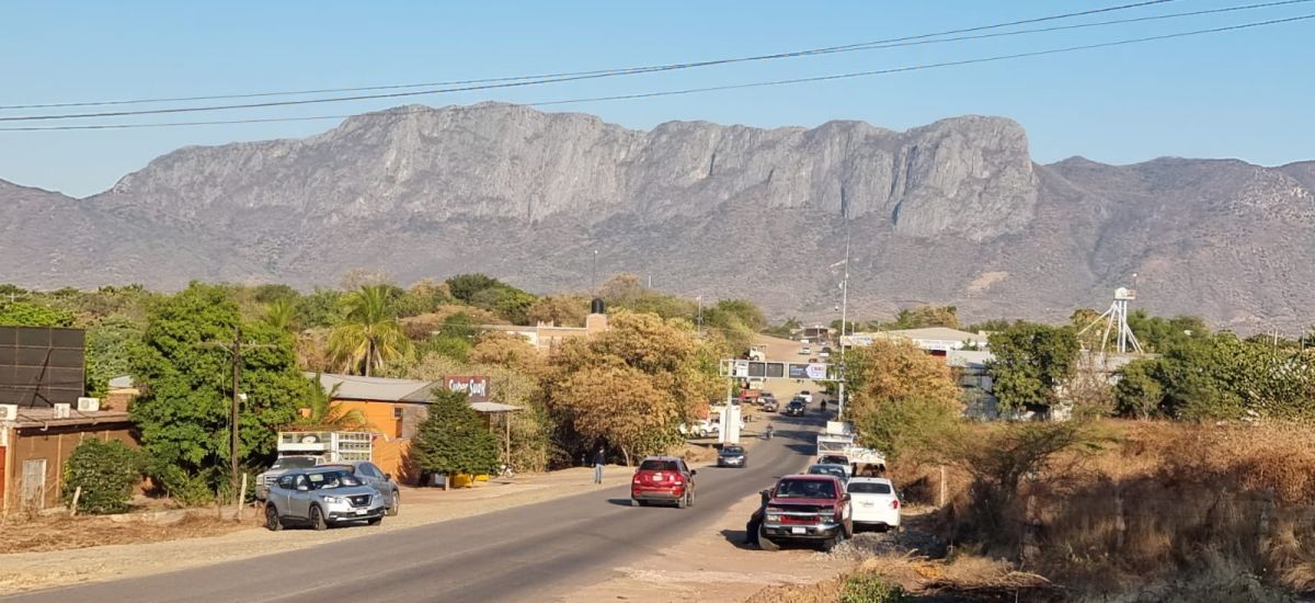 Luciernaga noticias | Arranca el desfile d...