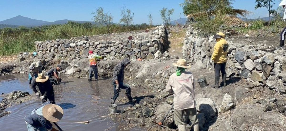 Luciernaga noticias | Conservación y emple...