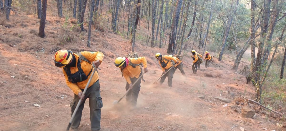 Luciernaga noticias | Controlado al 100 %...