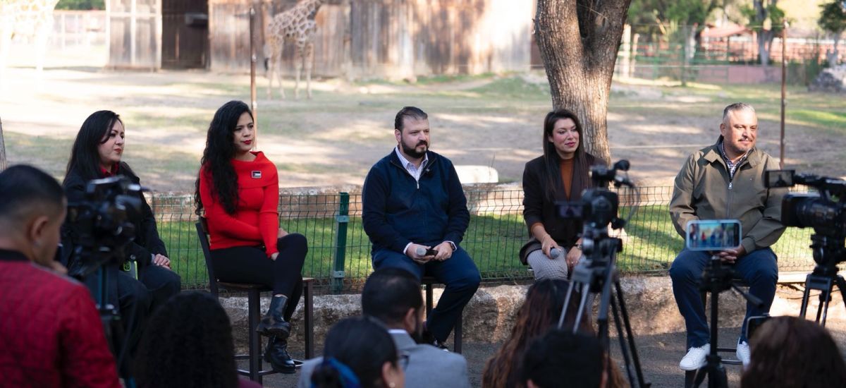 Luciernaga noticias | Bodas masivas, pícni...