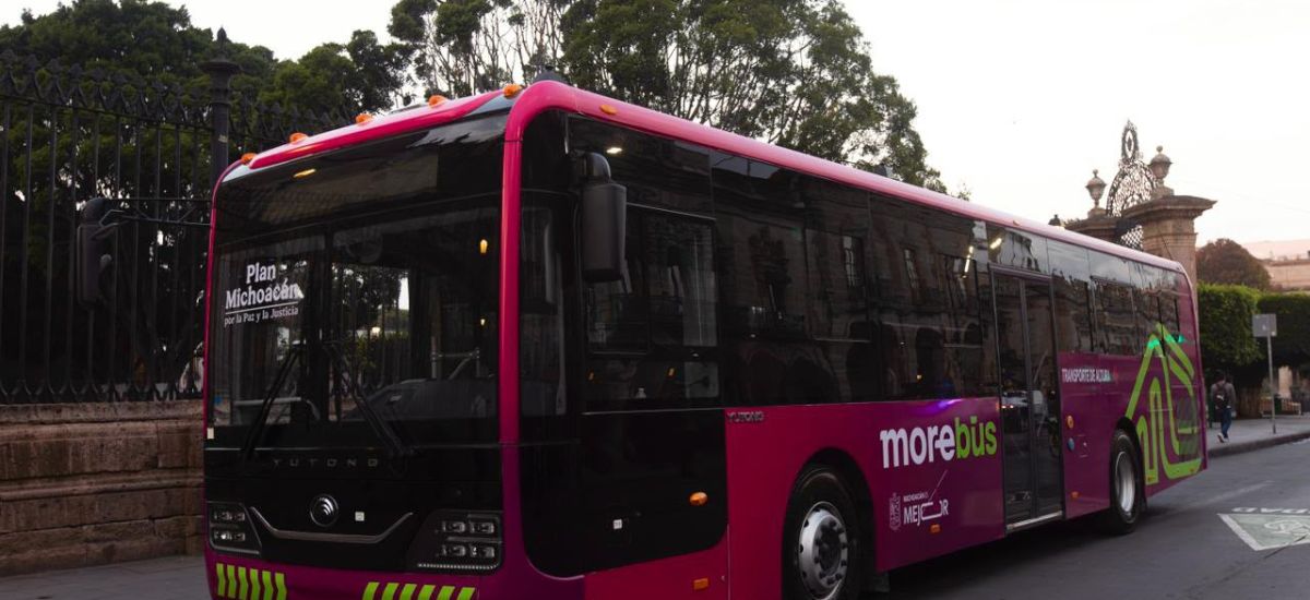 Luciernaga noticias | Morebús tendrá unida...