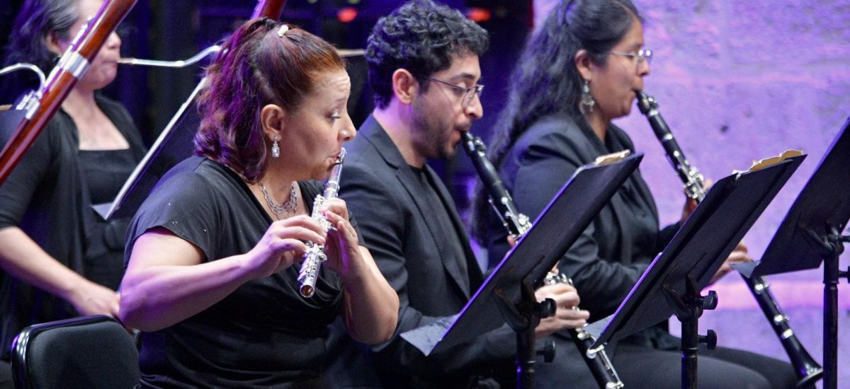 Luciernaga noticias | Osidem interpretará...