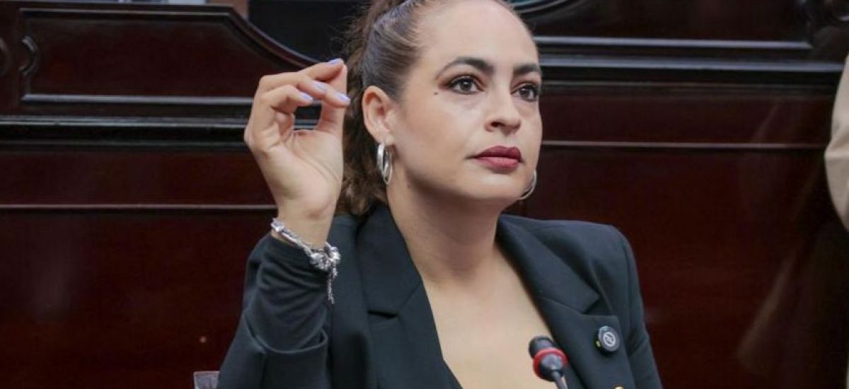 Luciernaga noticias | Para la protección d...