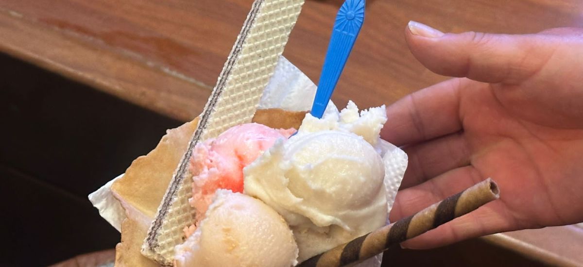 Luciernaga noticias | Zacapu celebrará el...