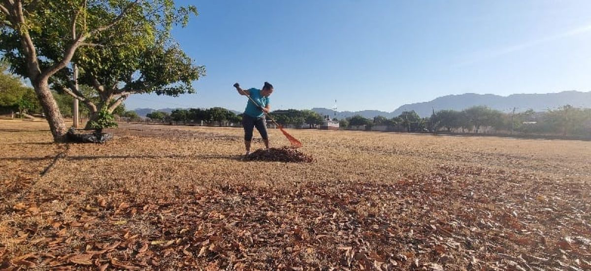 Luciernaga noticias | Compromiso ciudadano...