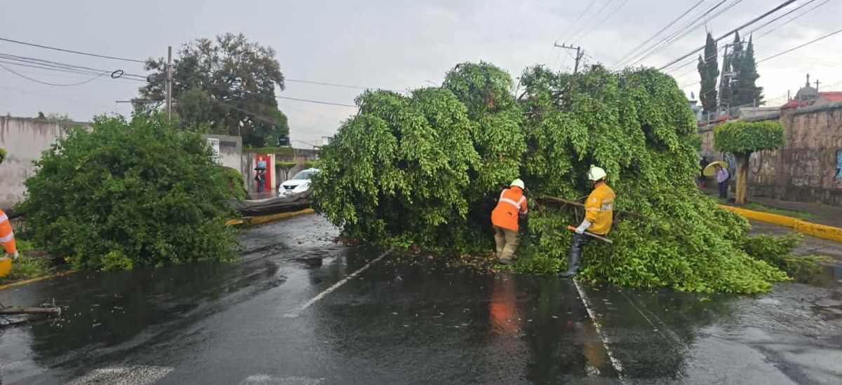 Luciernaga noticias | Lluvias colapsan via...