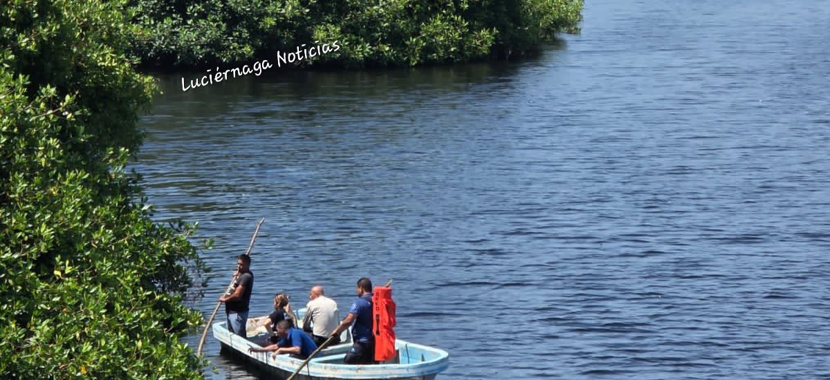 Luciernaga noticias | Crónica| Vacaciones...