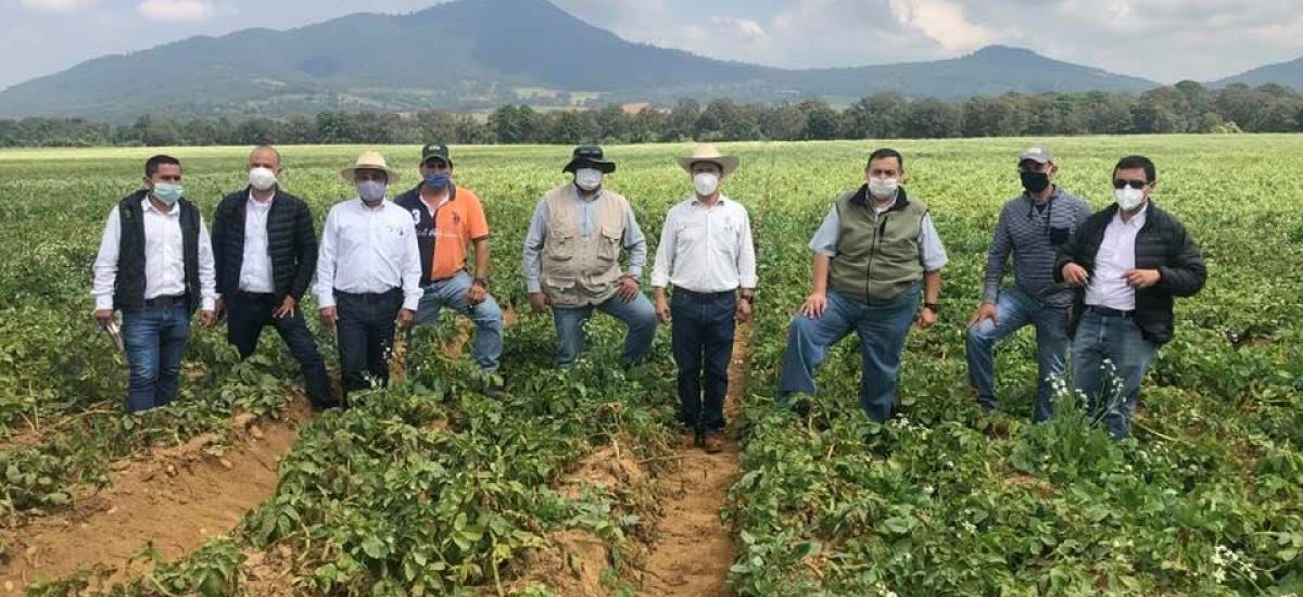Gobierno de Michoacán refrenda respaldo a productores...