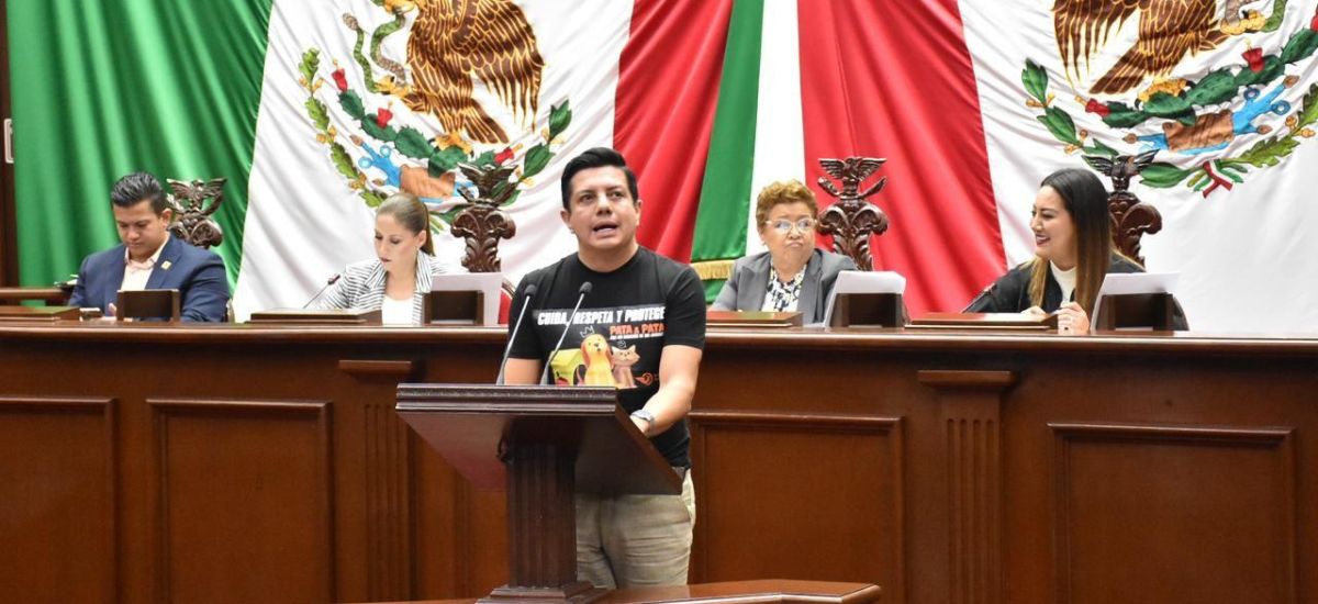 Propone diputado Oscar Escobar contemplar la protección...