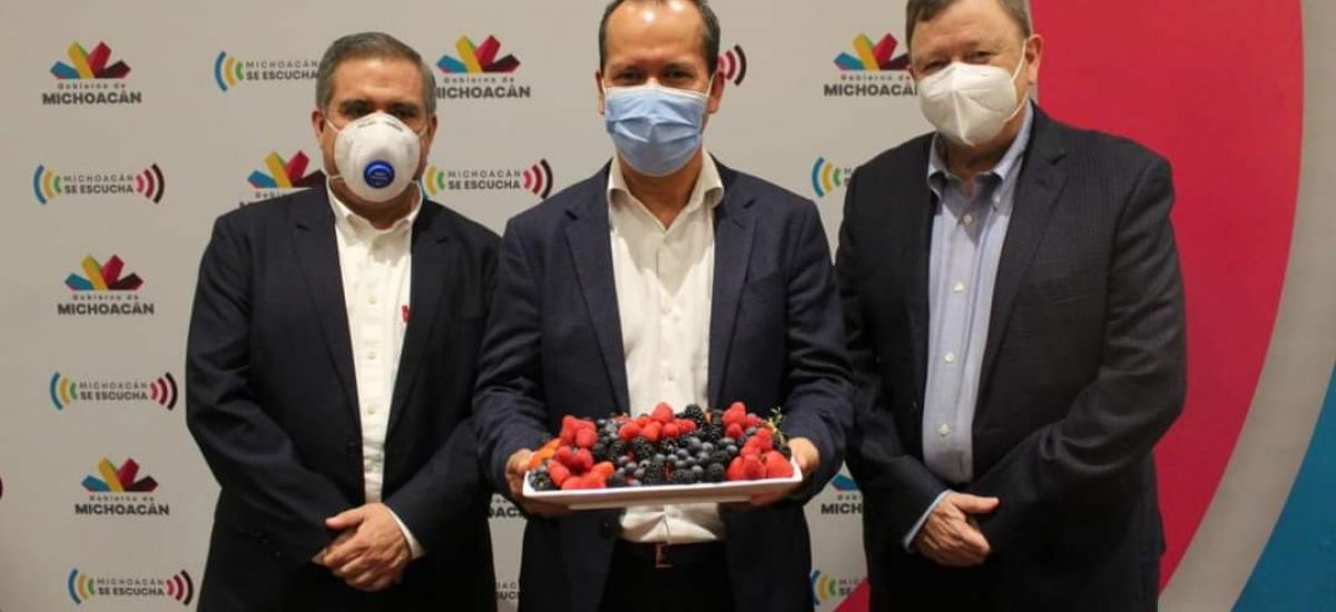 Michoacán protege a productores de berries en...