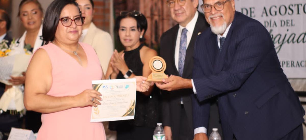 Luciernaga noticias | Presea 2026 distingu...