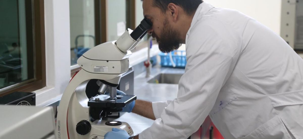 Luciernaga noticias | En 2025, Fiscalía Ge...