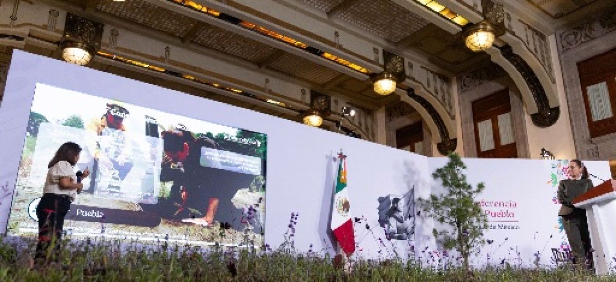 Luciernaga noticias | Sembrando Vida trans...