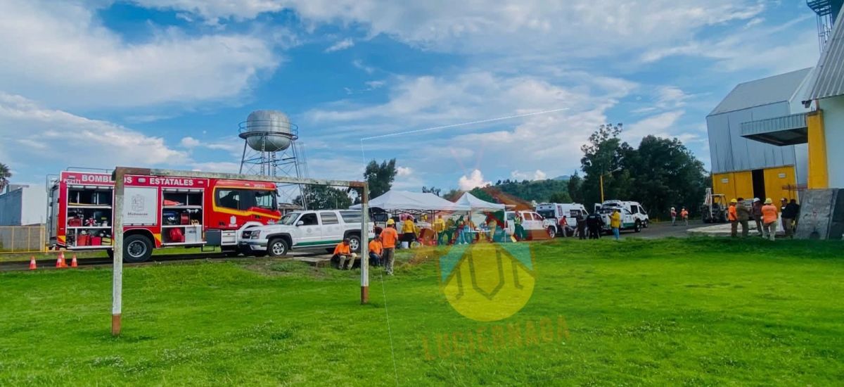 Luciernaga noticias | F4ll3ce empleado de...