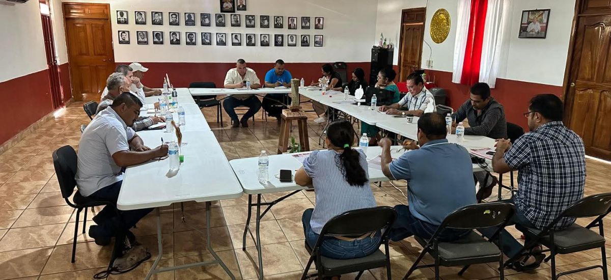 Luciernaga noticias | Tiquicheo se prepara...
