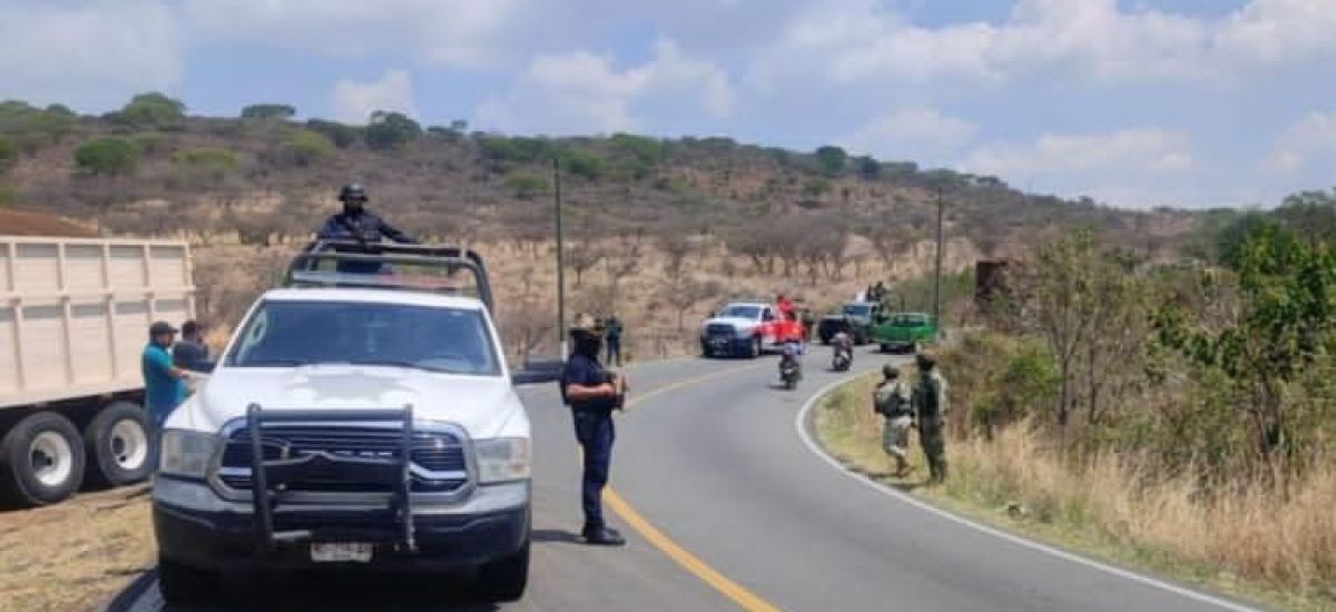 Luciernaga noticias | Guardia Civil libera...
