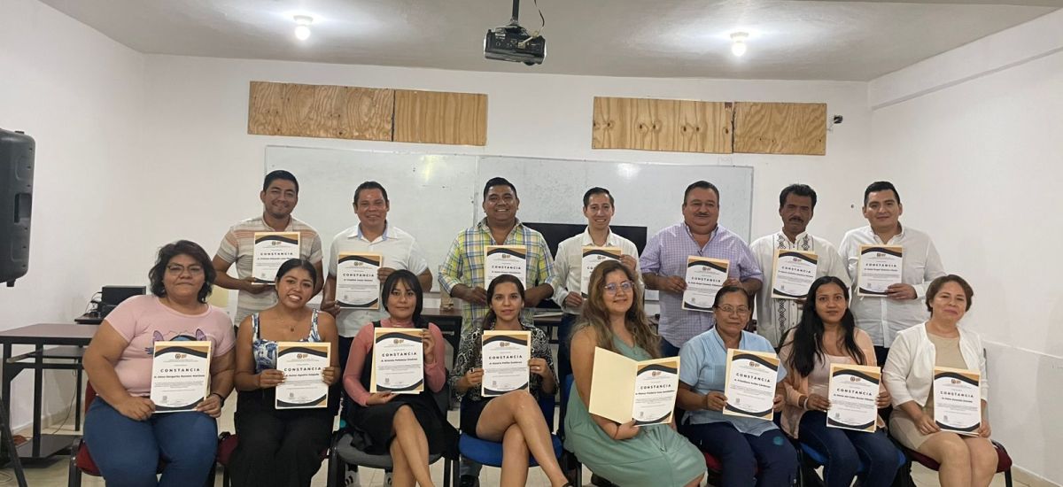 Luciernaga noticias | Profesionales del De...