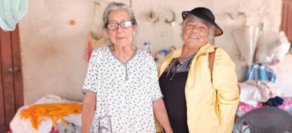 Luciernaga noticias | El compromiso social...