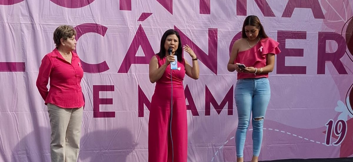 Luciernaga noticias | Caminata rosa por la...