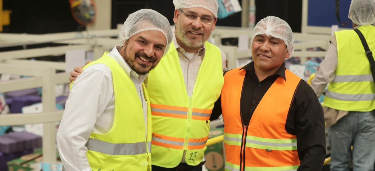 Luciernaga noticias | Guardián Forestal fr...