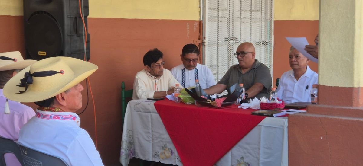 Luciernaga noticias | Presentación del lib...